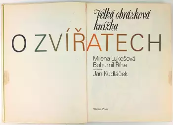 Název obrázku