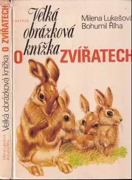 Název obrázku