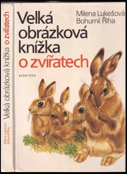 Název obrázku