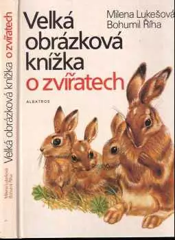 Název obrázku