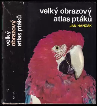 Název obrázku