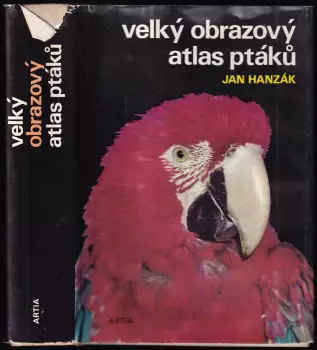 Název obrázku