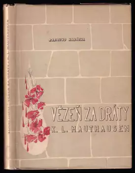 Název obrázku