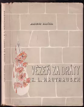 Název obrázku