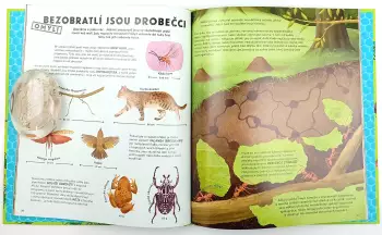 Název obrázku