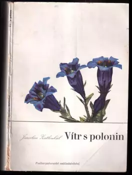 Název varianty