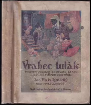 Název varianty