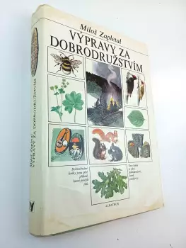 Název obrázku