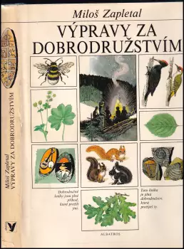 Název varianty