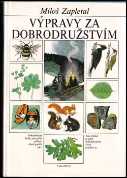Název obrázku