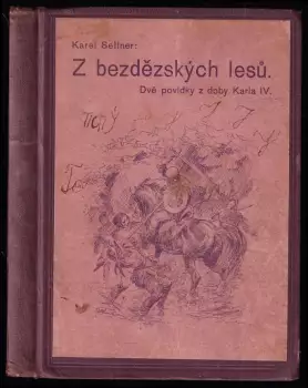 Název varianty