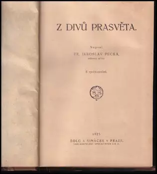 Název obrázku