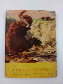 Název obrázku