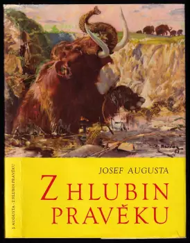 Název obrázku