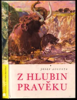 Název obrázku