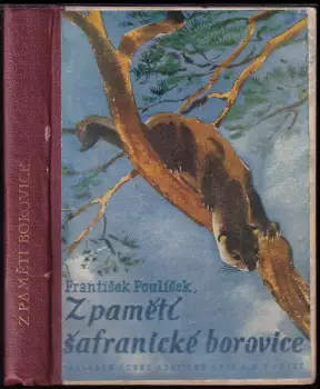 Název obrázku