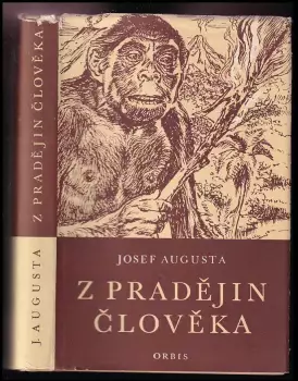 Obrázek varianty