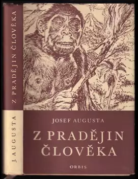 Obrázek varianty