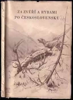 Název obrázku