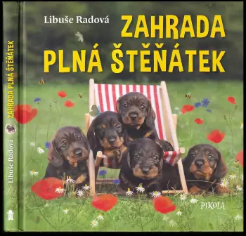 Název varianty