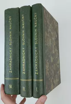 Název varianty