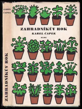 Název varianty