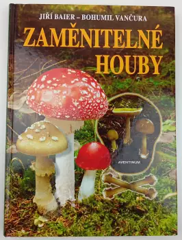 Název varianty