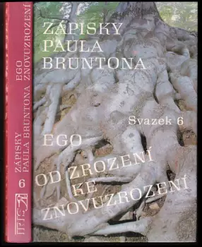 Název varianty