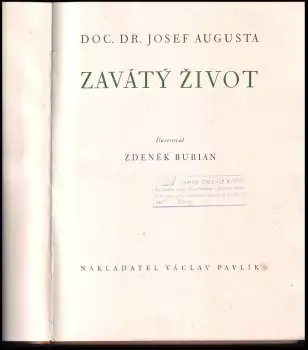 Název obrázku