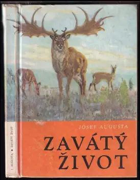 Název obrázku