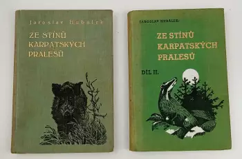 Název obrázku