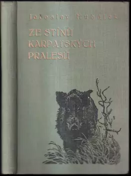 Název obrázku