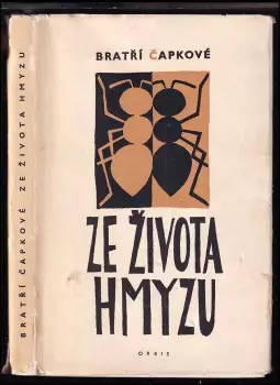 Název varianty