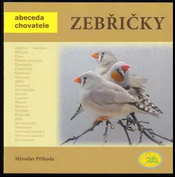 Název varianty