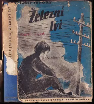 Název obrázku