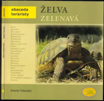 Název varianty