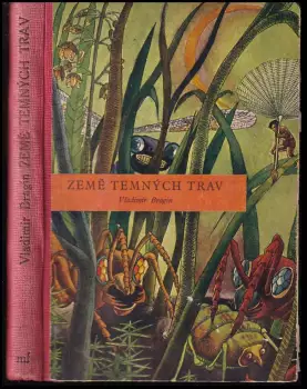 Název varianty