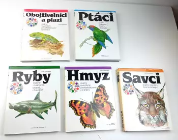 Název obrázku