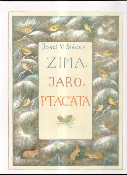 Název varianty