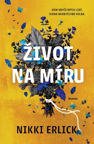 Název varianty