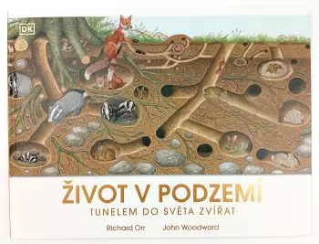 Název varianty