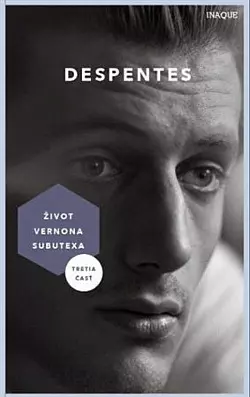 Virginie Despentes: Život Vernona Subutexa 3