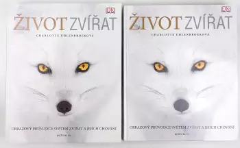 Název obrázku