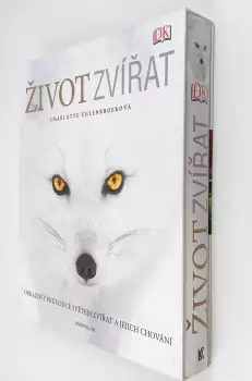 Název varianty