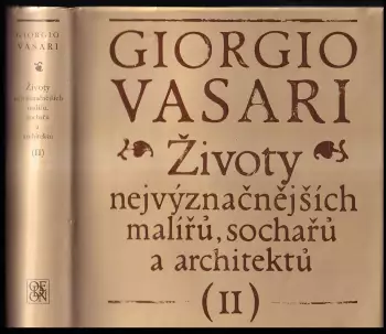 Obrázek varianty