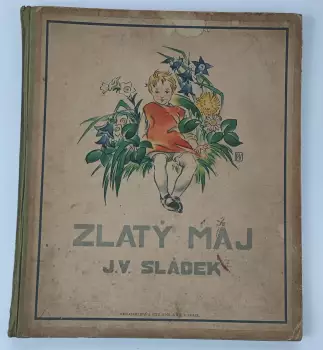 Název obrázku
