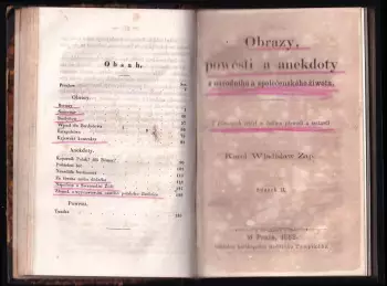 Název obrázku