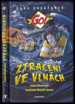Název varianty