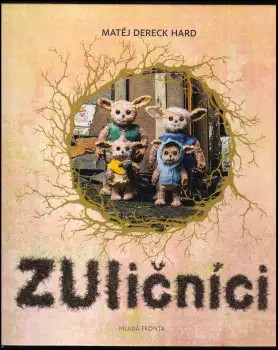 Název varianty