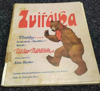 Název varianty